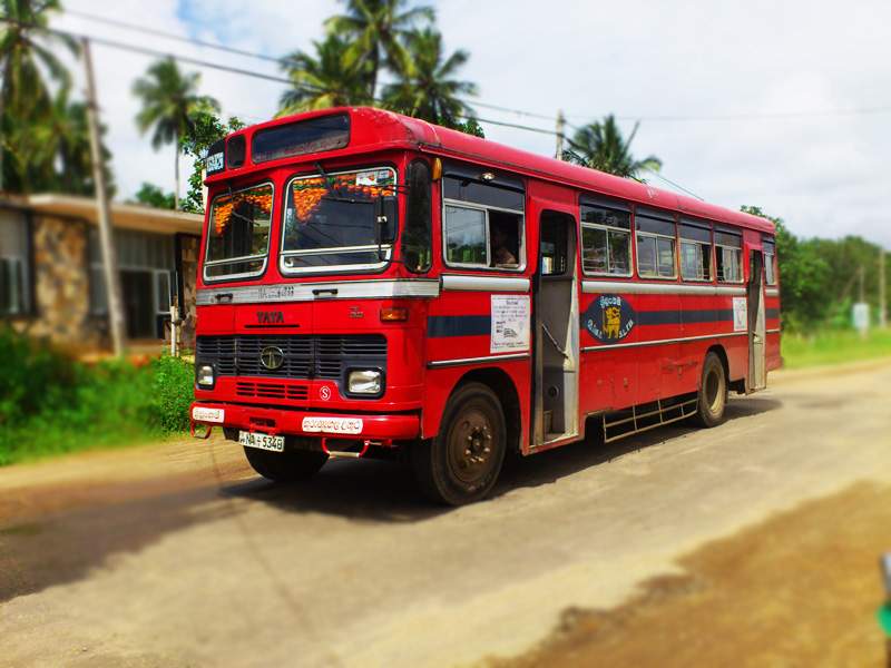 Local-Bus-in-Sri-Lanka.jpg