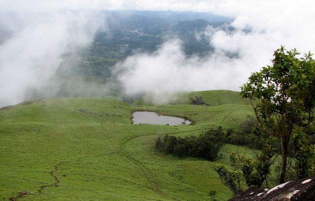 wayanad-in-kerala.jpg