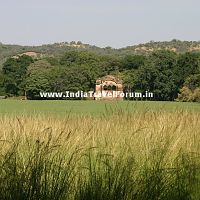 Ranthambore Ancient Structure