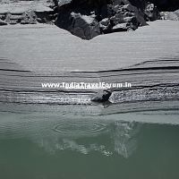 White sand beach, Rishikesh