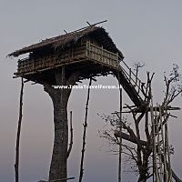 A Traditional Tree House At Meghalaya