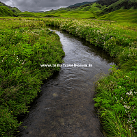 Enchanting Dzulekie Stream Image Copyright @ Dhrubajyoti Deb