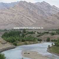 Khyamar Chu At Upshi - A Tributary Of Indus River