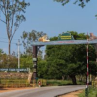 Bandipur Tiger Reserve Entrance