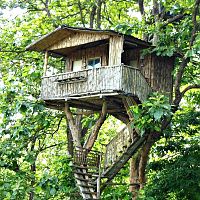 Our Bamboo-made Tree-house