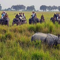 Elephant Safari At Kaziranga - Image Courtesy @Wiki