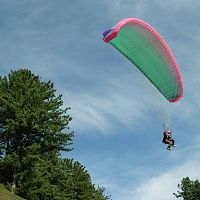 Patnitop Paragliding - Image Credit @ Wikimedia