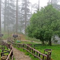 Dhanaulti - Image Credit @ Wiki