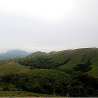 Coorg Landscape - Image Credit @ Wikimedia Commons