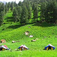 Sainj Valley At Great Himalayan National Park