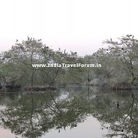 Bharatpur Bird Sanctuary - Keoladeo Ghana National Park Pictures