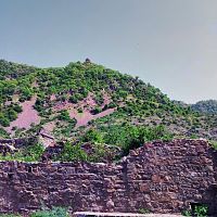 Tantrik Canopy at Bhangarh