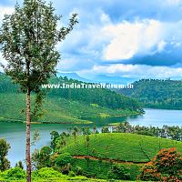 Scenic Valparai