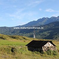 Another View Of Ziro Valley - Image Copyright @ NEWiki