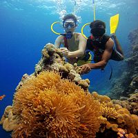 Scuba Diving In Andaman