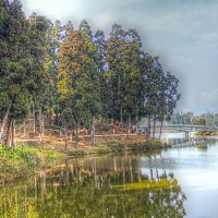 Tranquil Sumendu Lake At Mirik - Image Courtesy @Wikipedia