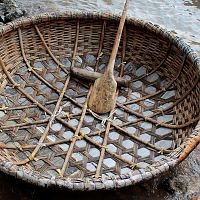 Coracle - A Closer Look