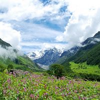 Chopta