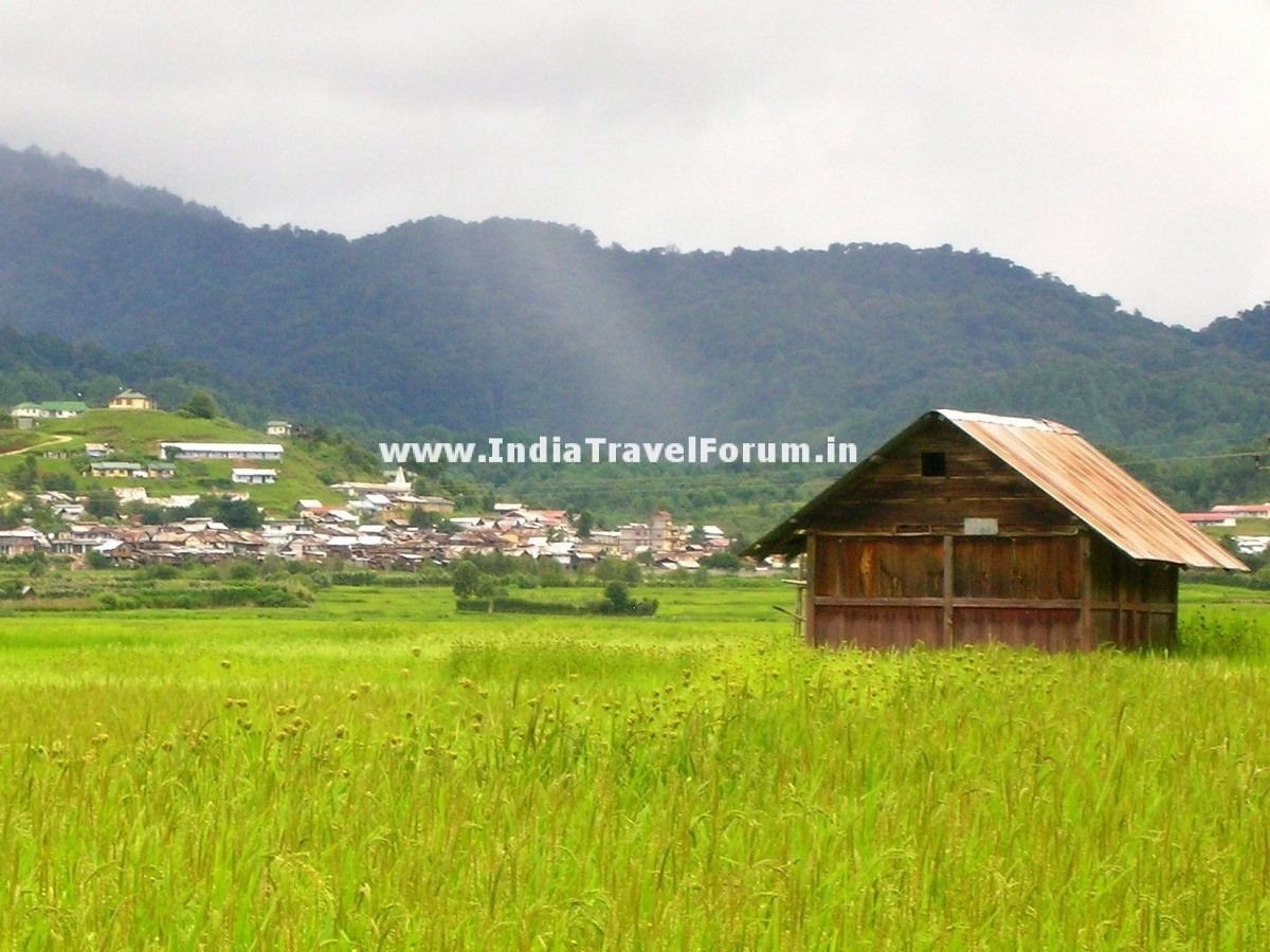 A Serene Ziro Valley, Arunachal Pradesh