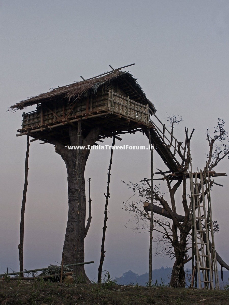 A Traditional Tree House At Meghalaya