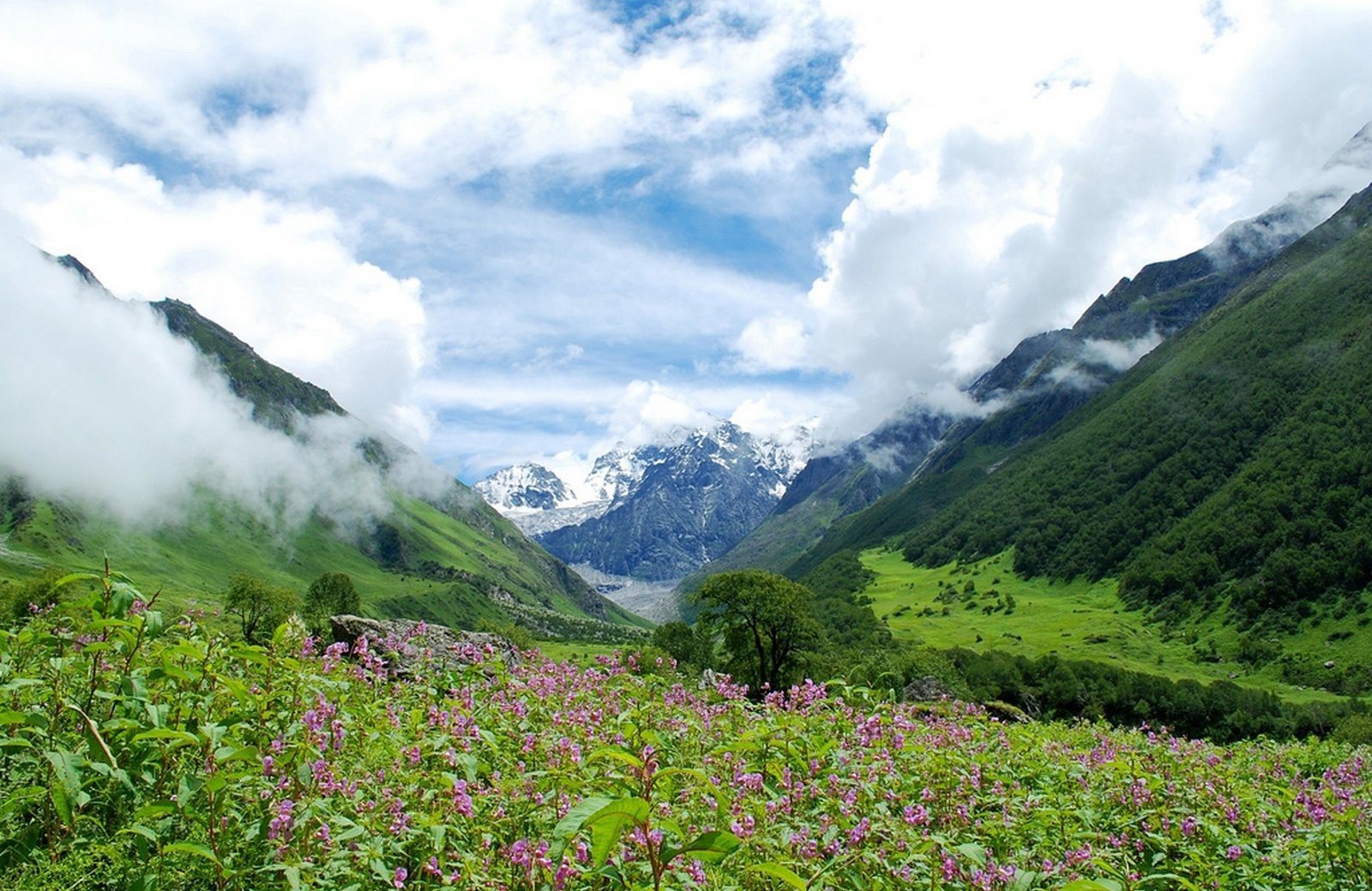 Chopta