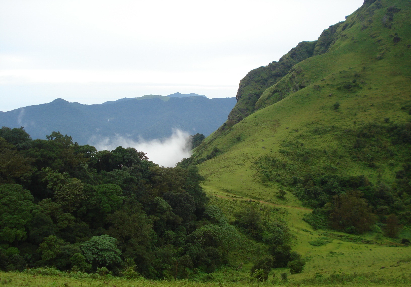 Coorg - Image Credit @ IMGUR