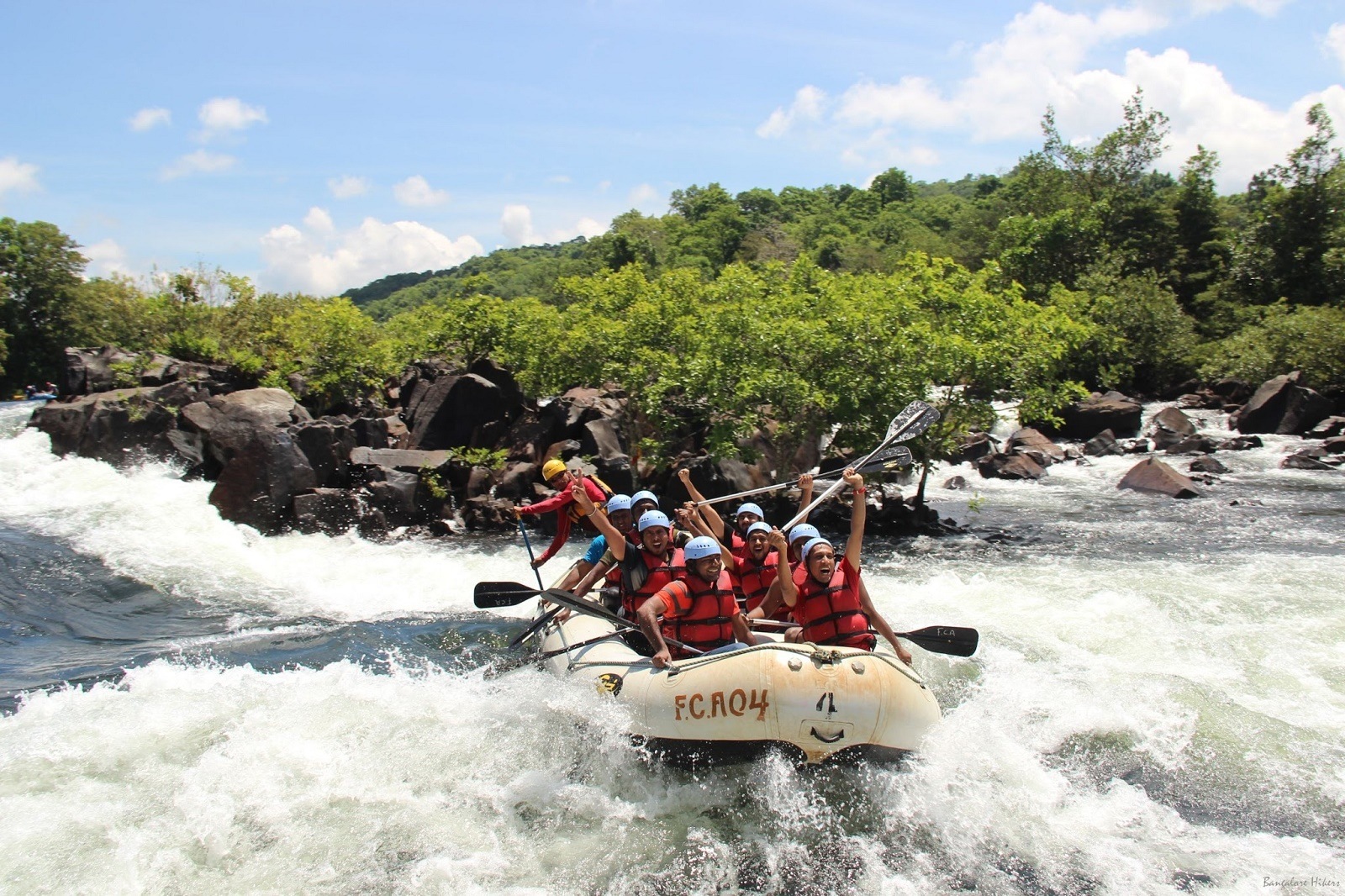 Dandeli