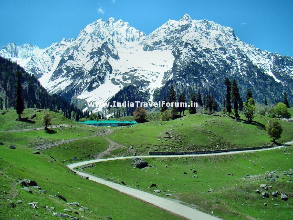 Enchanting Sonmarg
