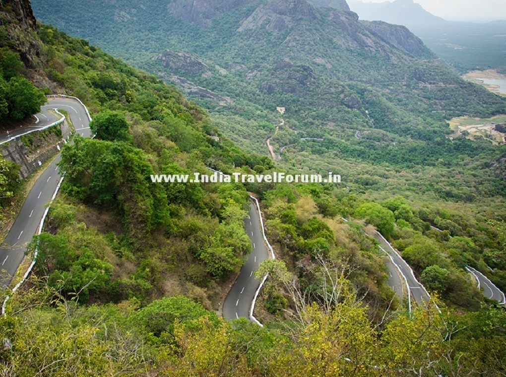 Hairpin Bends from Loams View Point