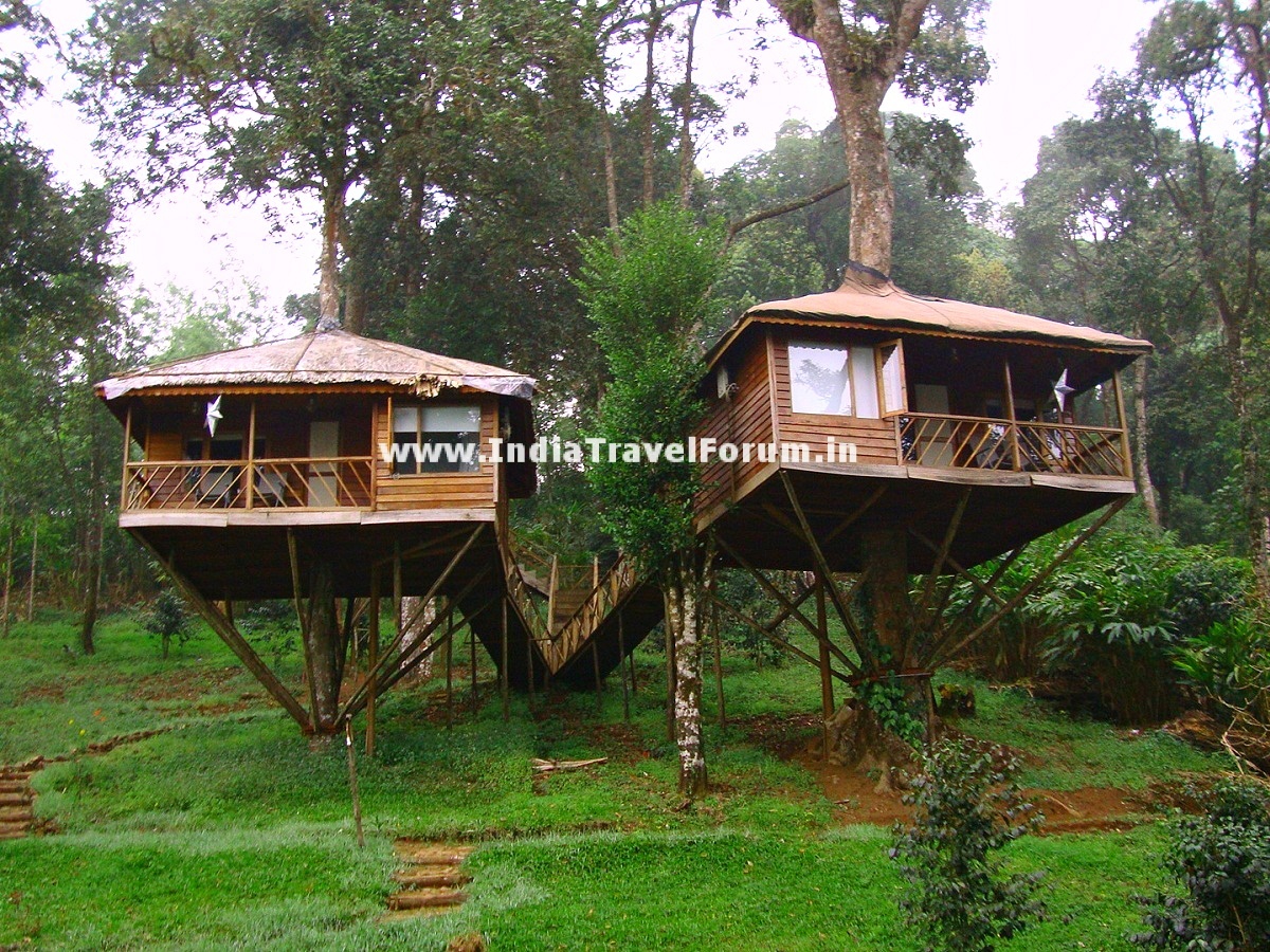 How About Spending A Night In Tree House