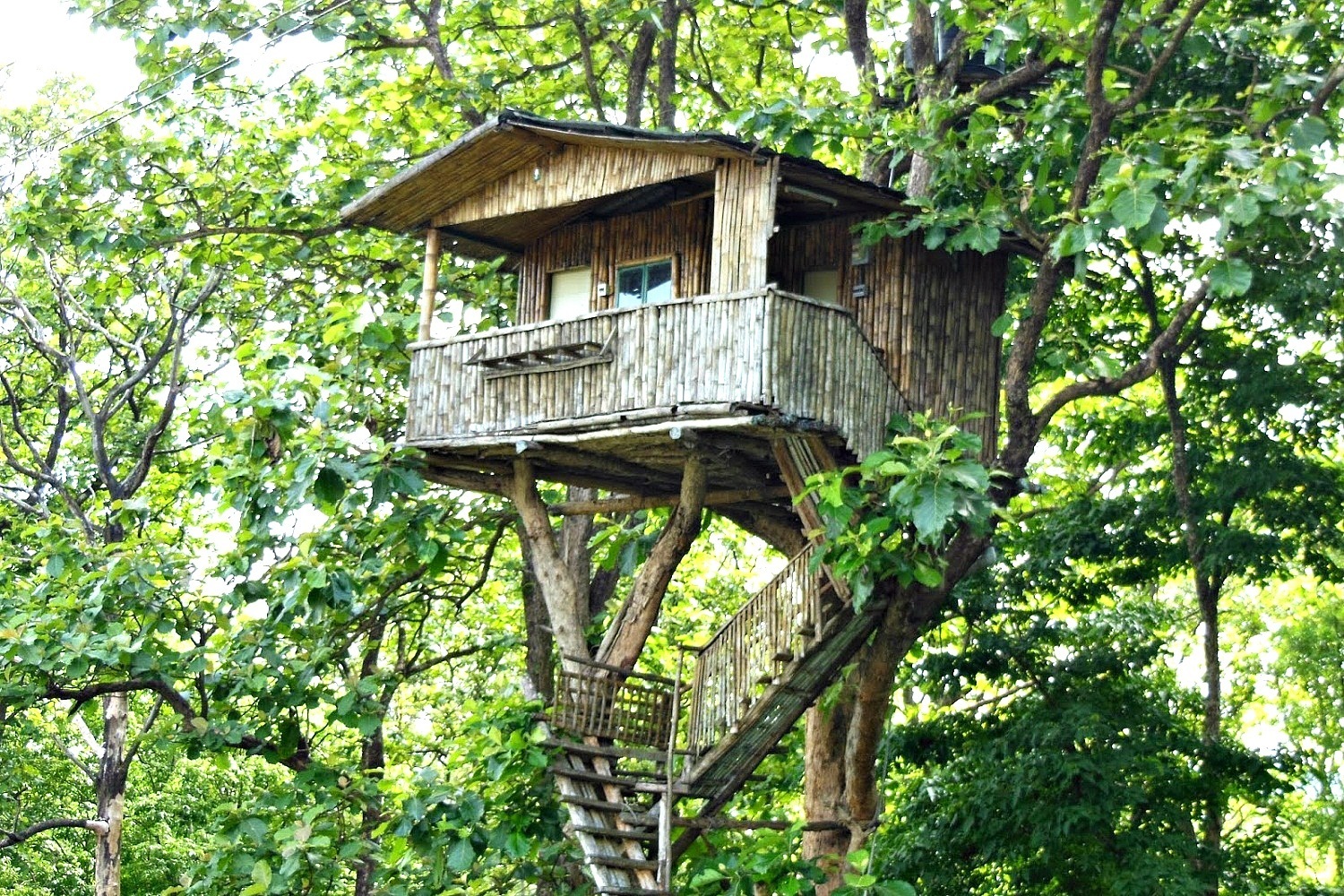 Our Bamboo-made Tree-house