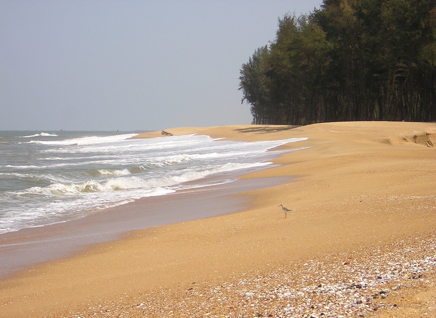 Panambur Beach Mangalore - Image Credit @ Wikimedia