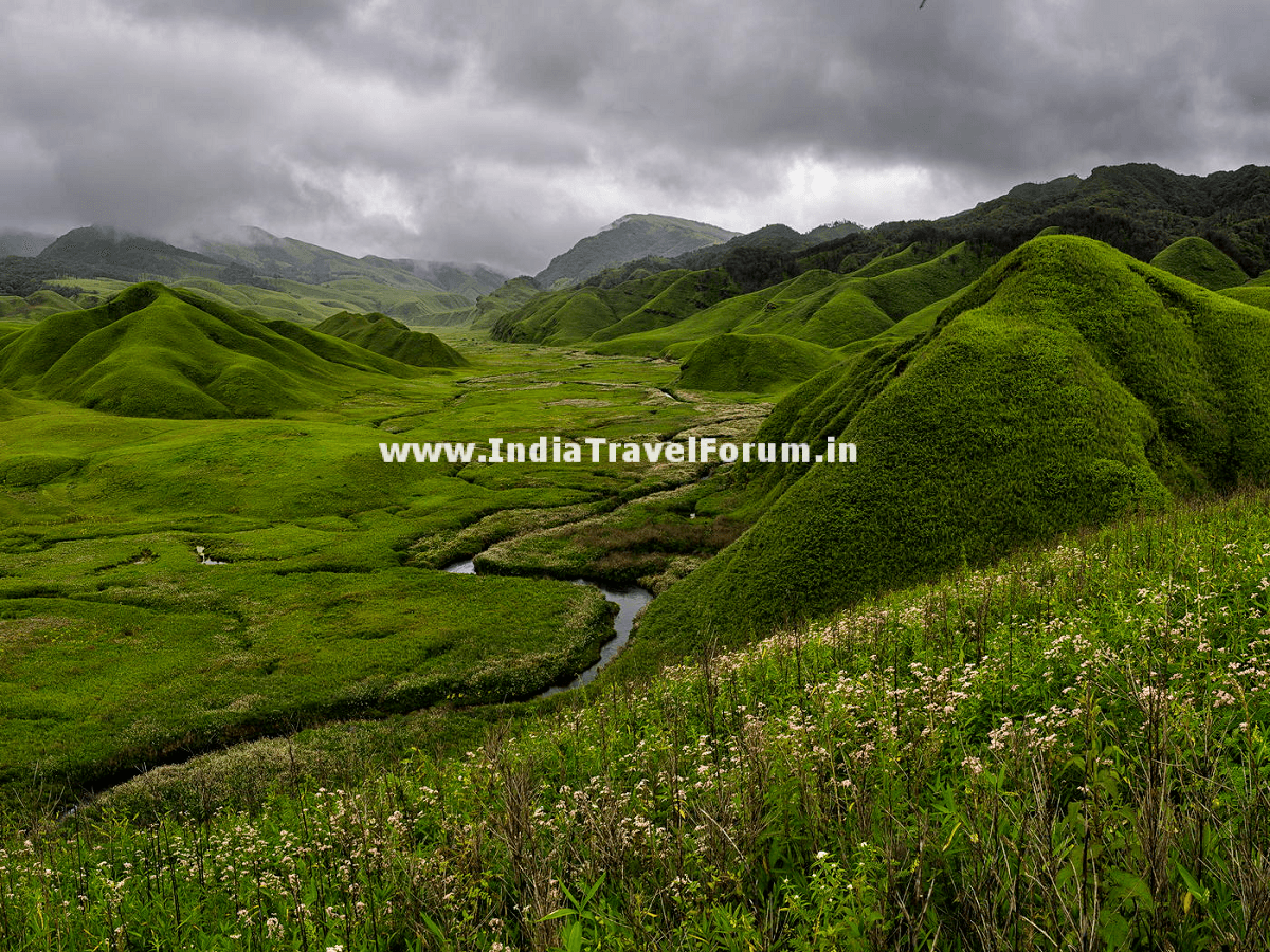 Pristine Dzukou Valley