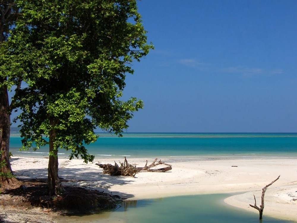 Radhanagar Beach - Image Credit @ Wiki