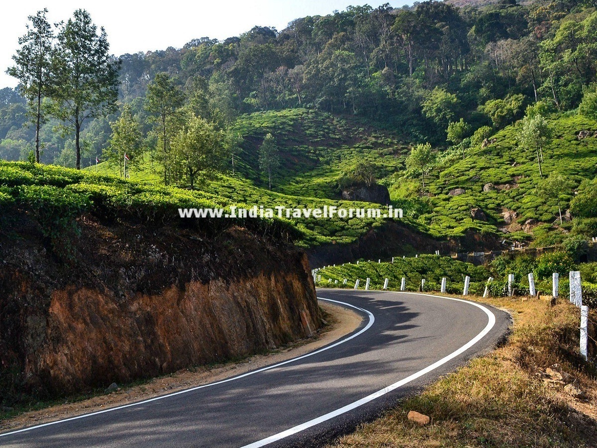 Route To Munnar