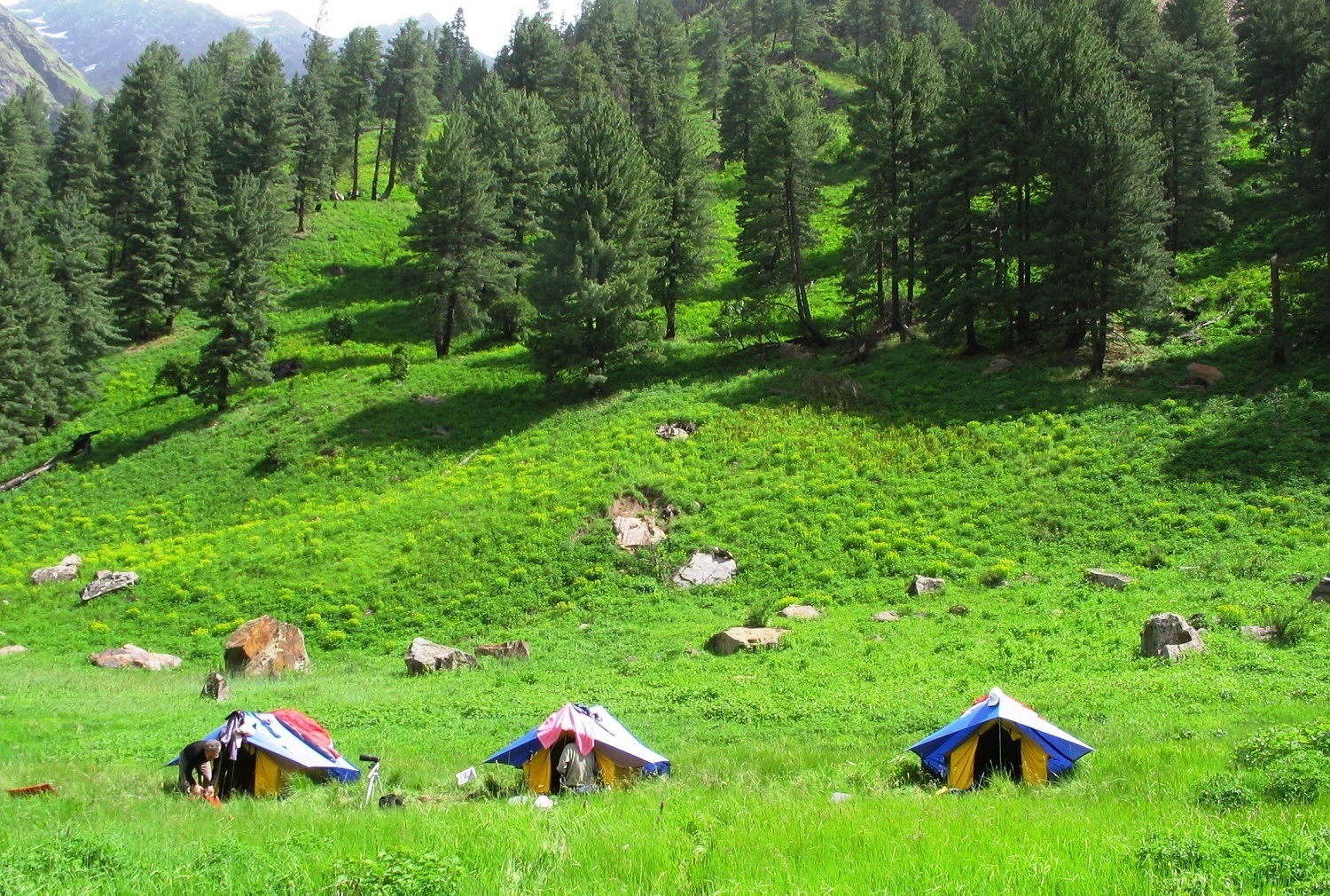 Sainj Valley At Great Himalayan National Park