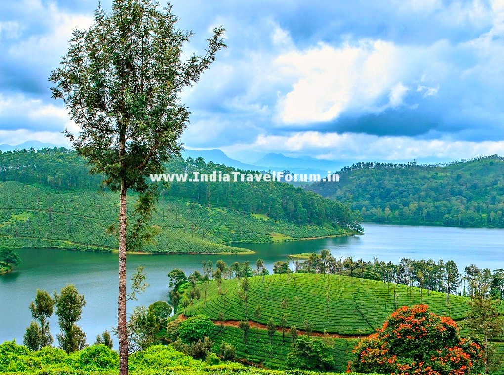 Scenic Valparai