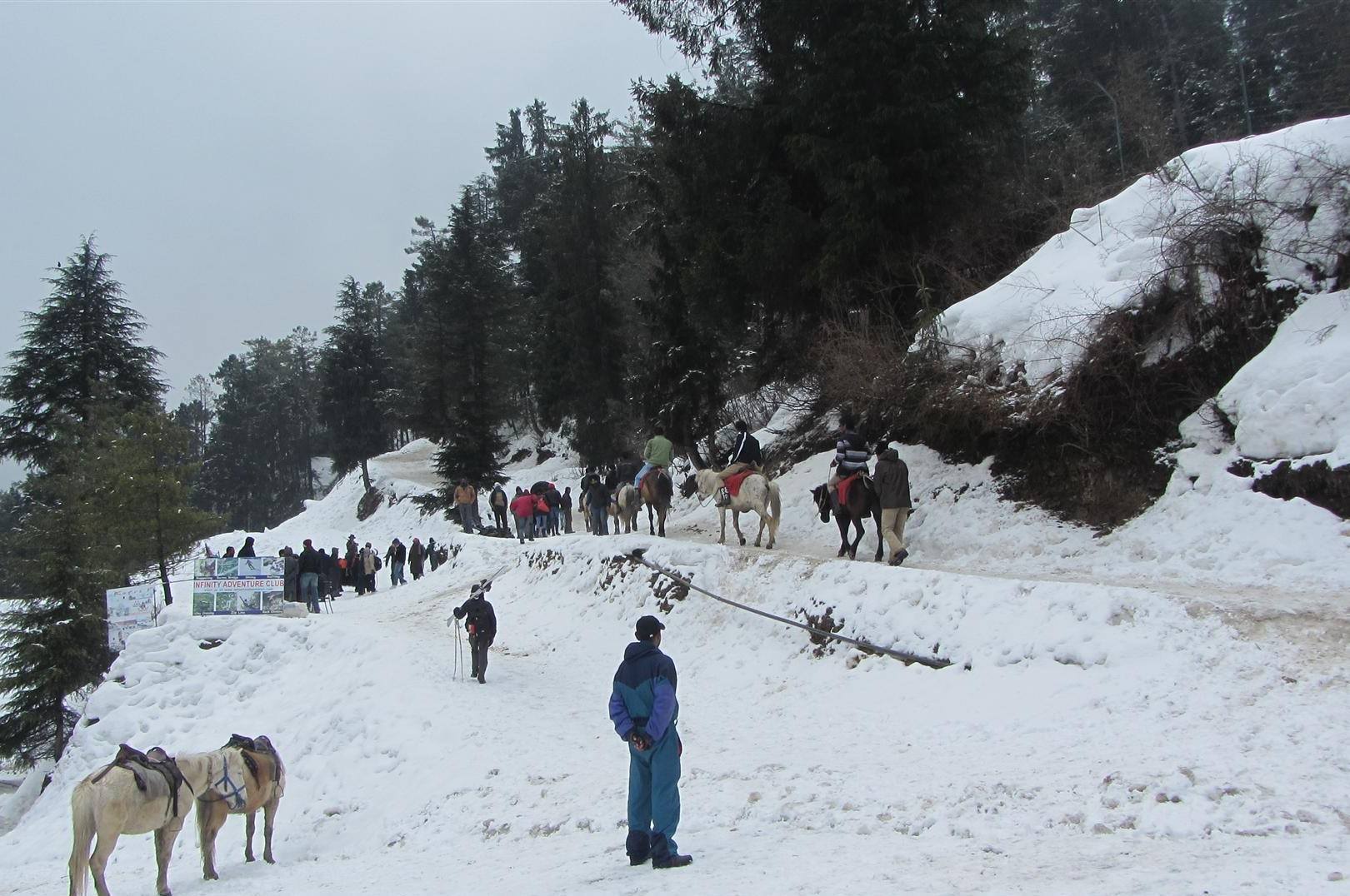 Snow At Kufri - Image Credit @ Wikimedia