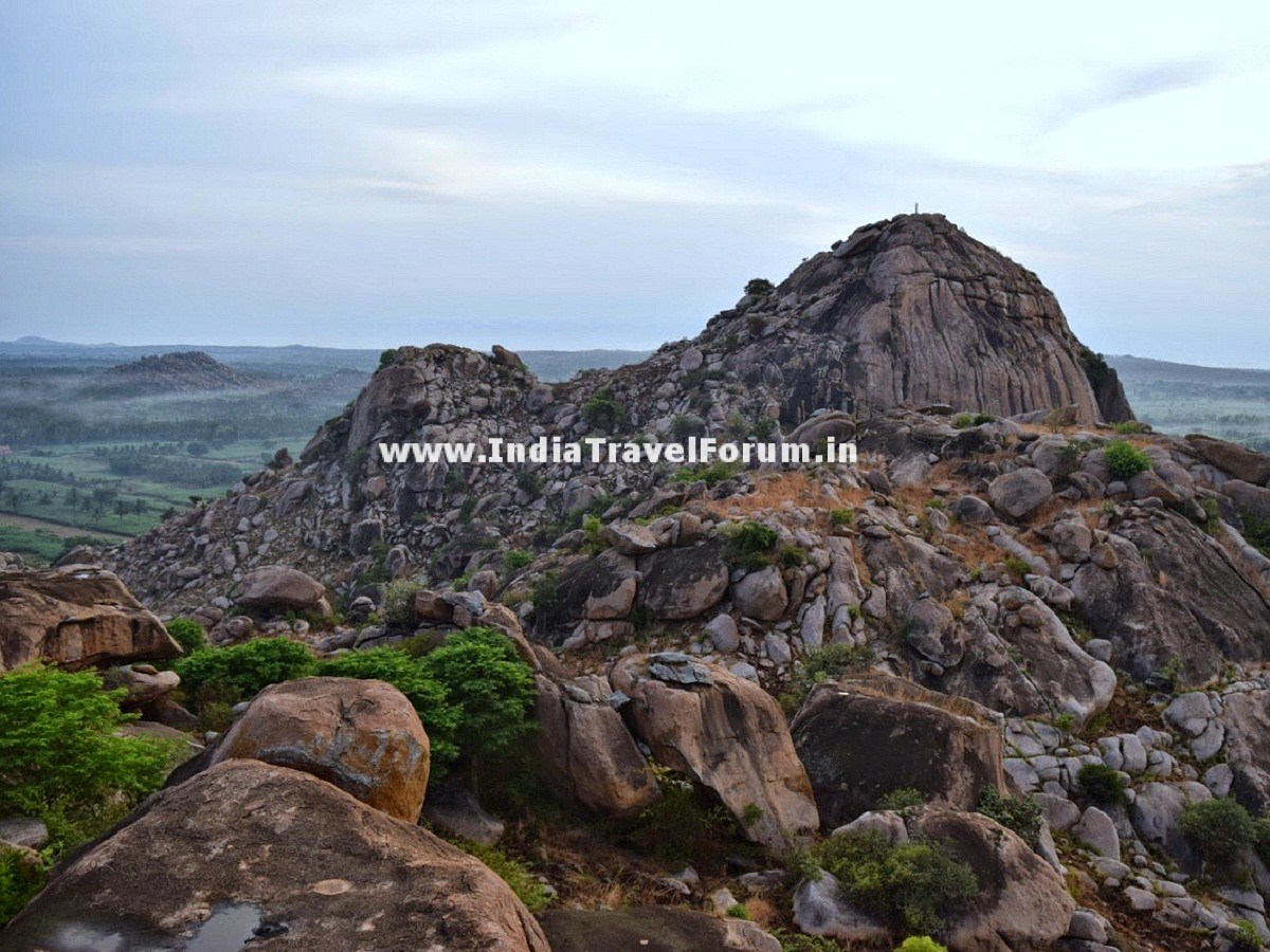 Top Of Kunti Betta