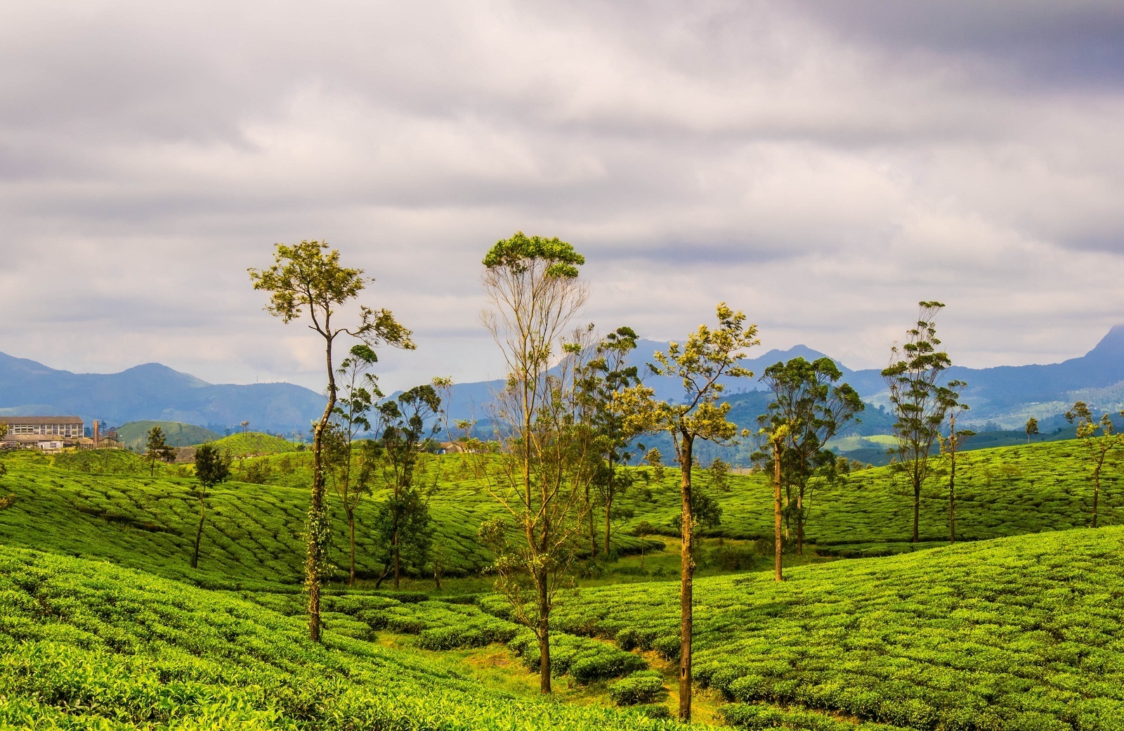 Valparai - Image Credit Wiki