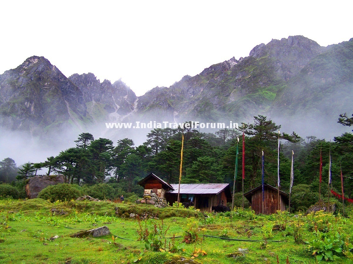 Yumthang Valley Near Yuksom